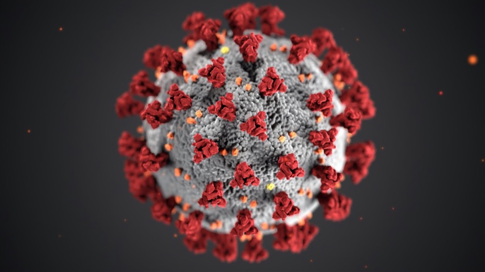 Coronavirus Unsplash CDC